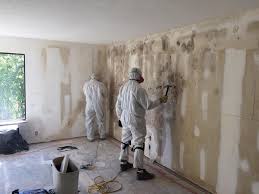  South Uniontown, PA Mold Remediation Pros